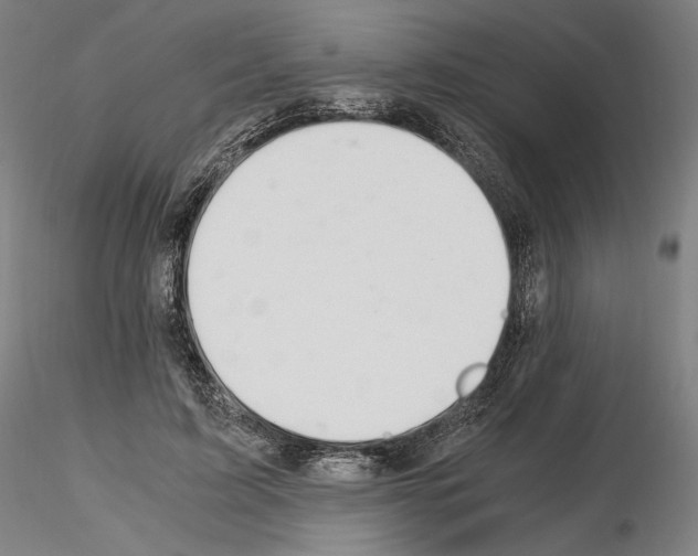 X0000115480595200912181210