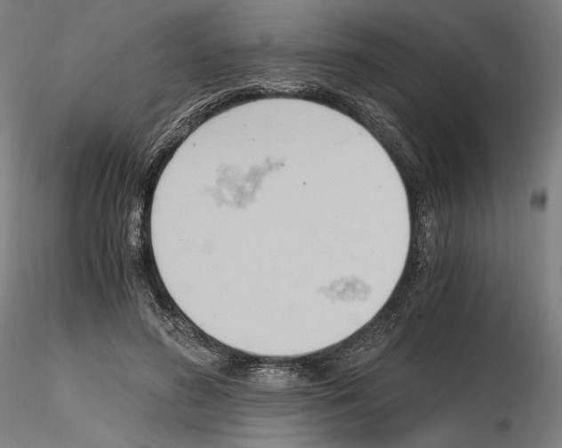 X0000115480596200912181210