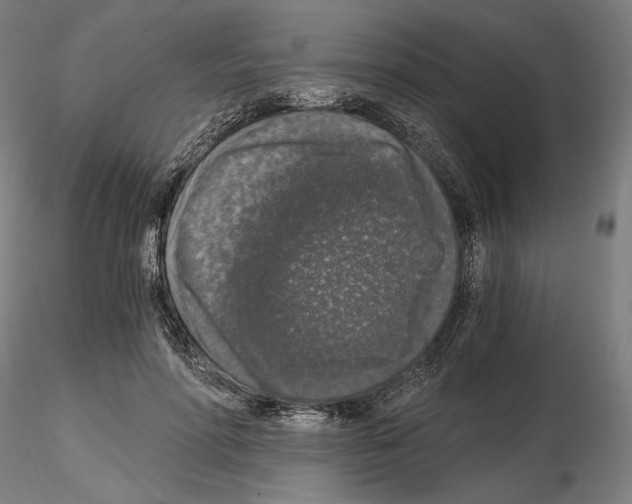 X0000115480598200912181210