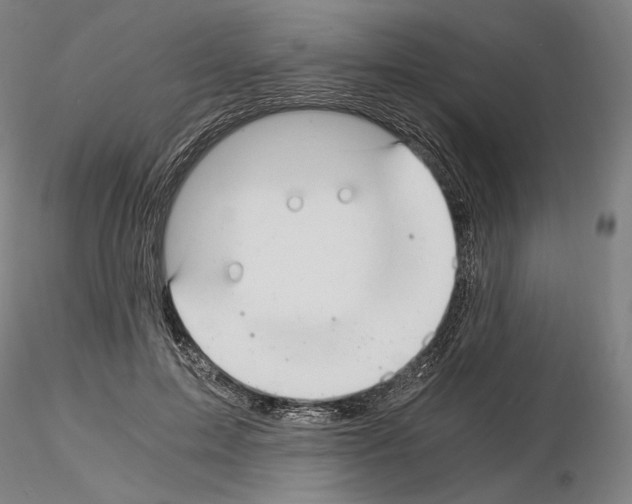 X0000115480599200912181210