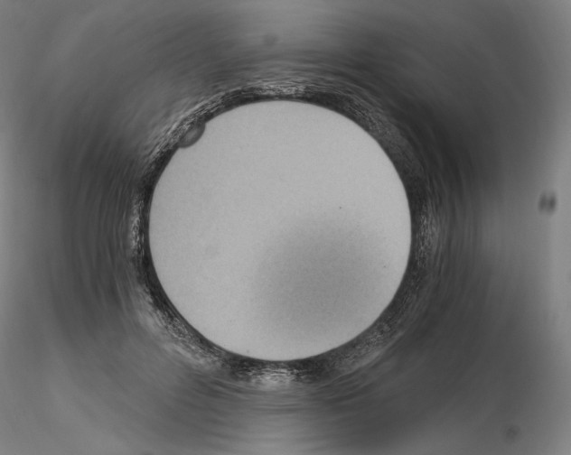 X0000115480600200912181210