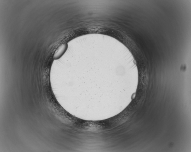 X0000115480601200912181210