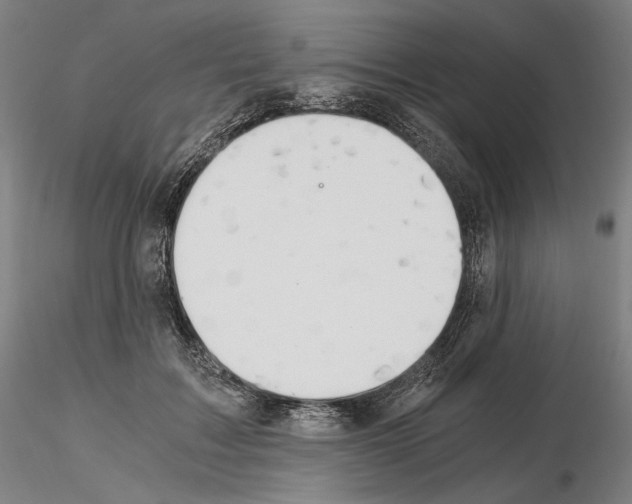 X0000115480603200912181210