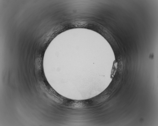 X0000115480604200912181210