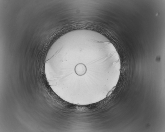 X0000115480605200912181210