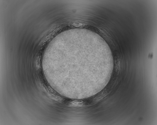 X0000115480606200912181210