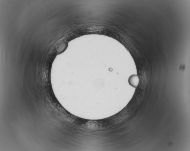 X0000115480608200912181210