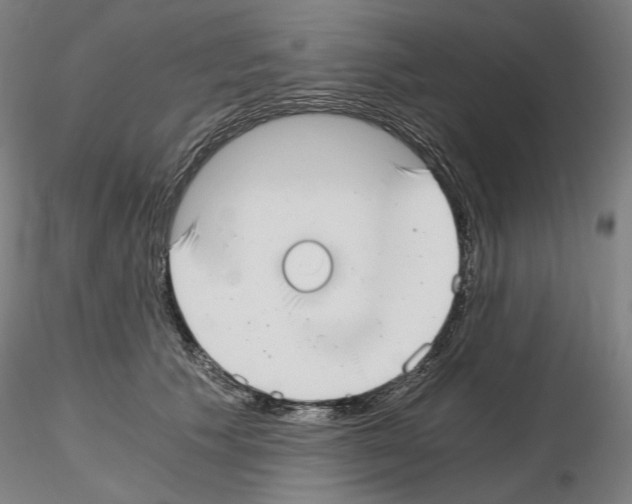 X0000115480609200912181210