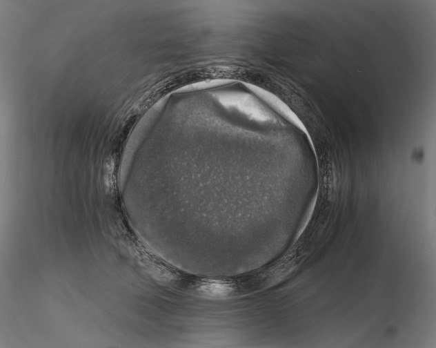 X0000115480610200912181210