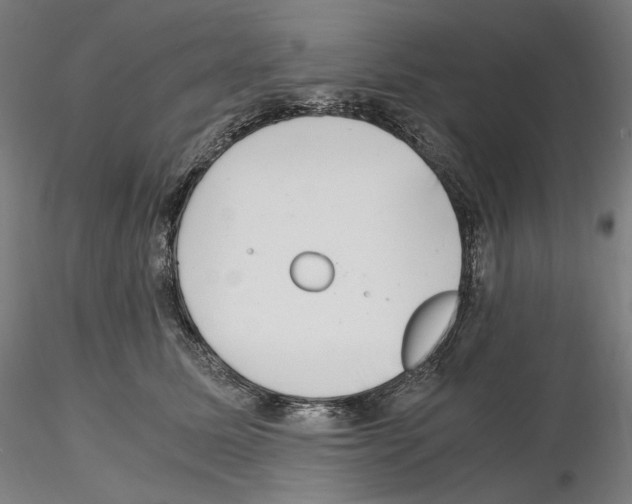 X0000115480611200912181210