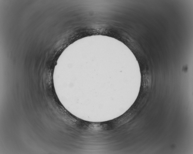 X0000115480613200912181210