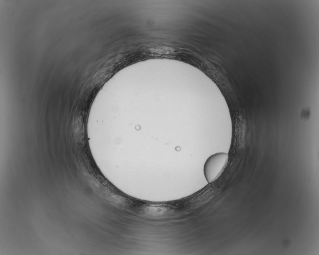 X0000115480614200912181210