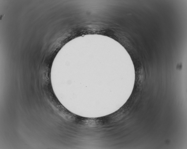 X0000115480615200912181210