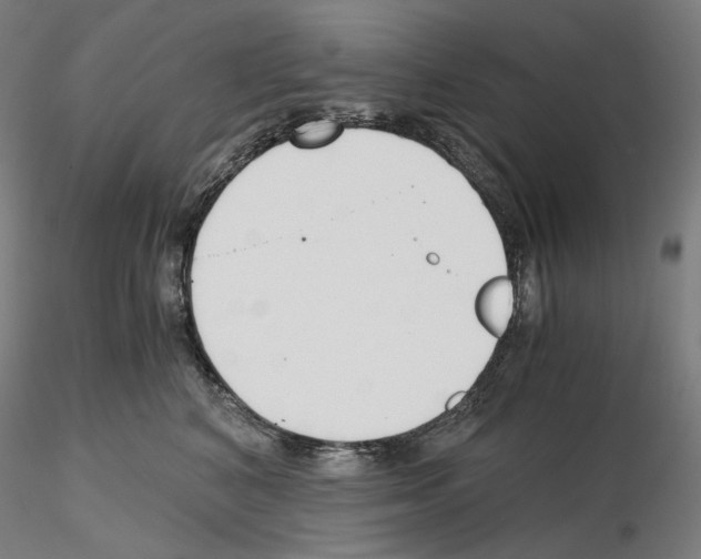 X0000115480616200912181210