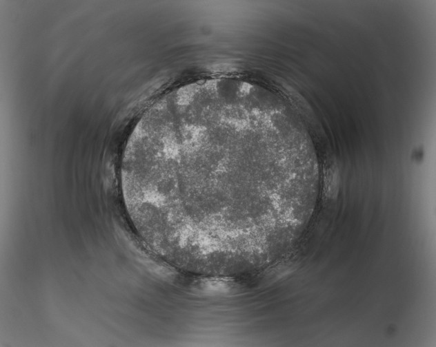 X0000115480618200912181210