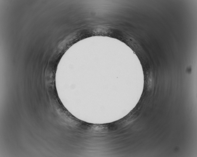 X0000115480619200912181210
