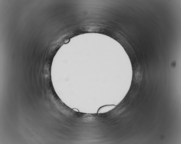 X0000115480620200912181210