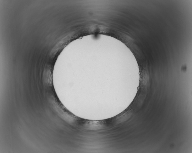 X0000115480622200912181210