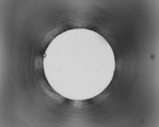 X0000115480623200912181210