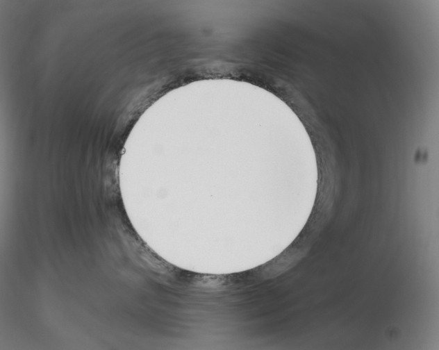 X0000115480624200912181210