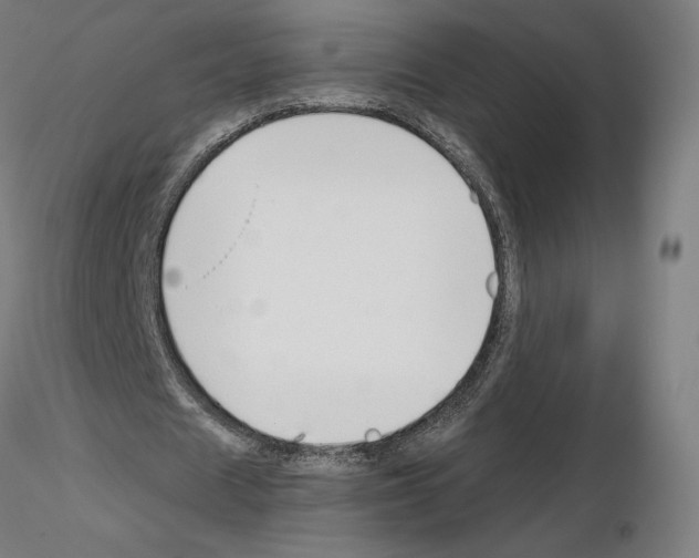 X0000115480625200912181209
