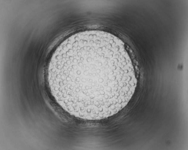 X0000115480626200912181209