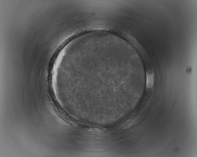 X0000115480627200912181209
