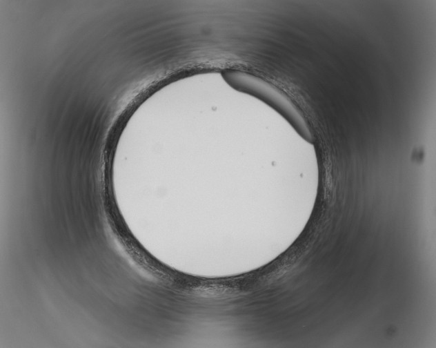 X0000115480630200912181209