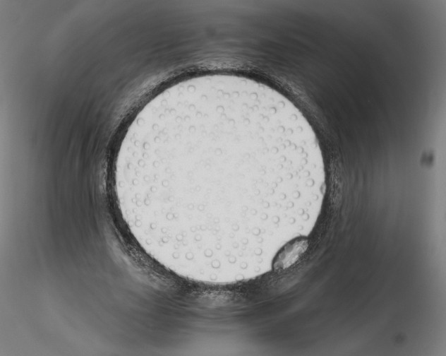 X0000115480631200912181209