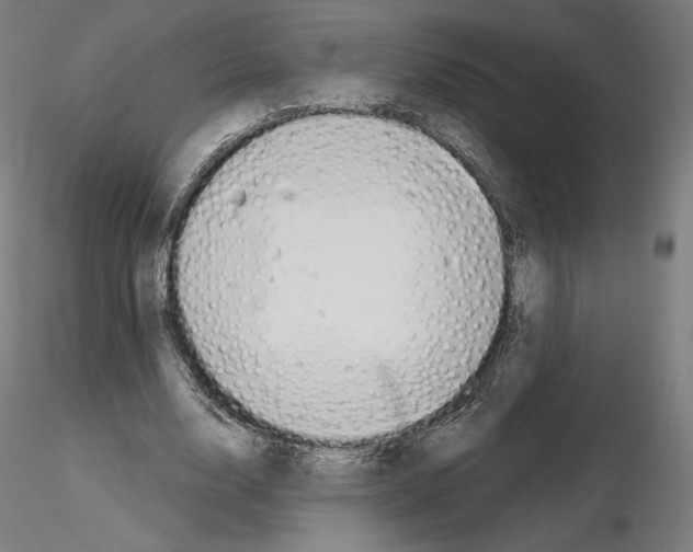X0000115480632200912181209