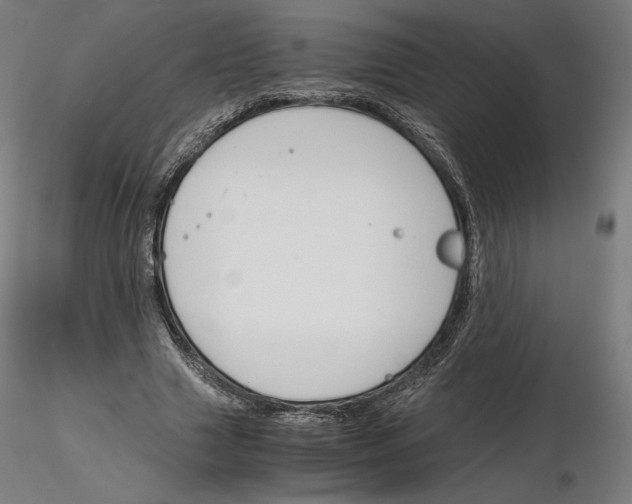 X0000115480633200912181209
