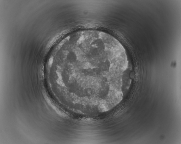 X0000115480634200912181209