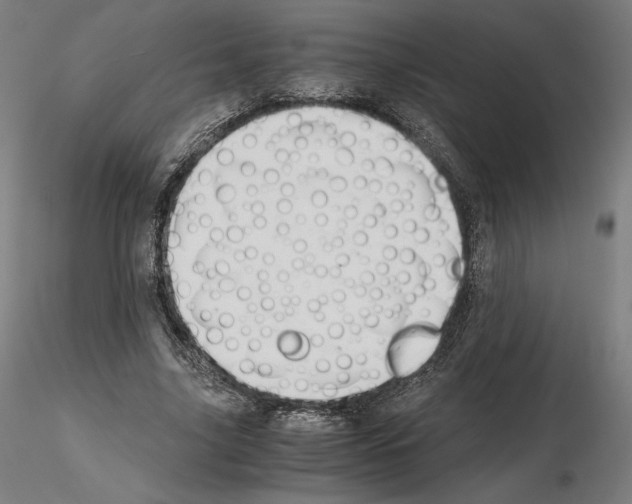 X0000115480635200912181209