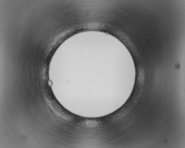 X0000115480636200912181209