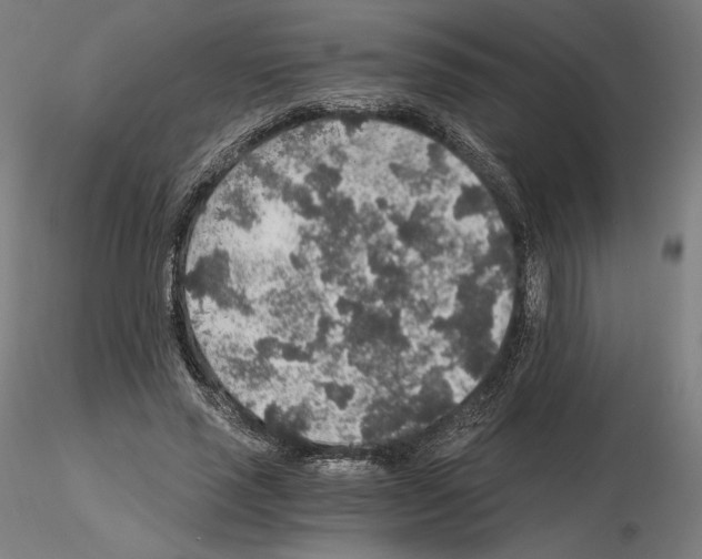 X0000115480637200912181209