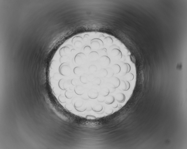 X0000115480638200912181209