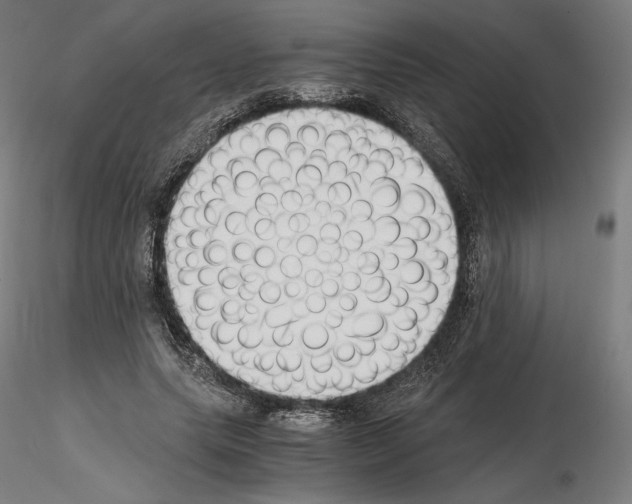 X0000115480639200912181209