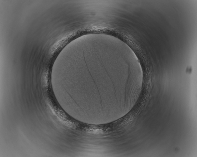 X0000115480640200912181210