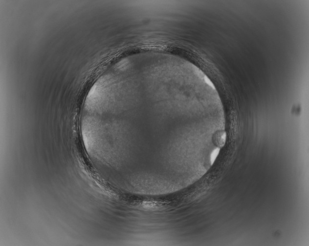 X0000115480641200912181210