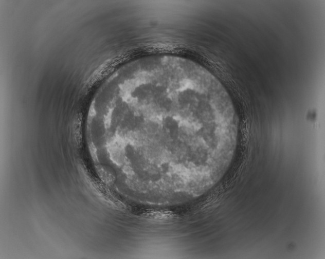 X0000115480642200912181210
