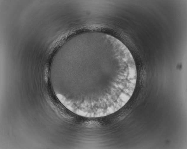 X0000115480644200912181210