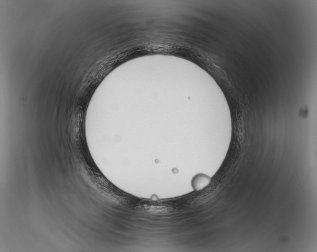 X0000115480645200912181210
