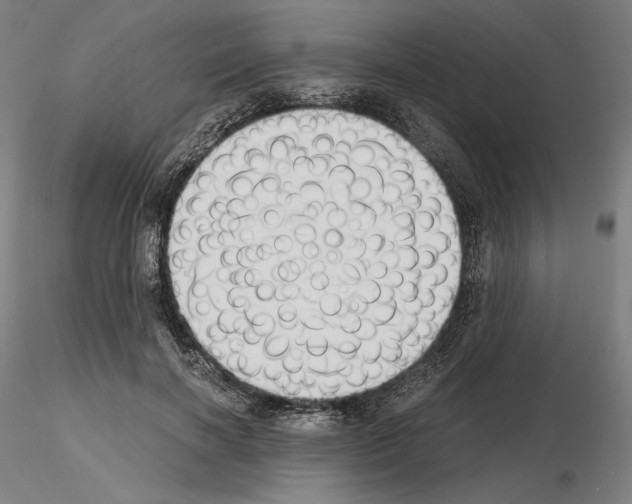 X0000115480646200912181210