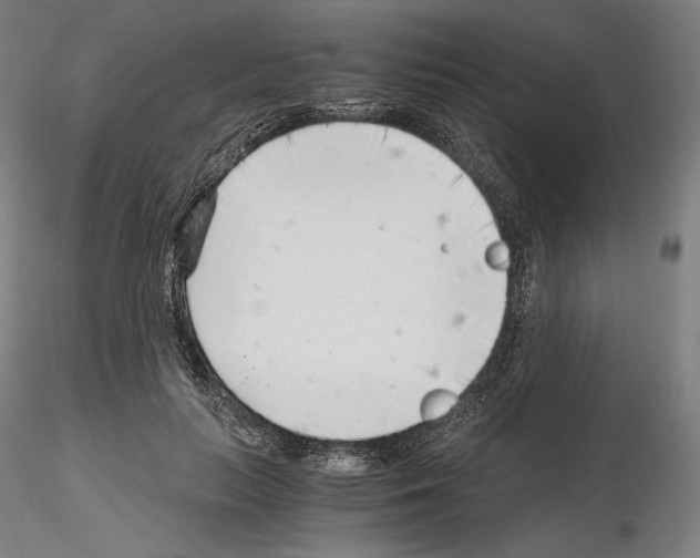 X0000115480647200912181210