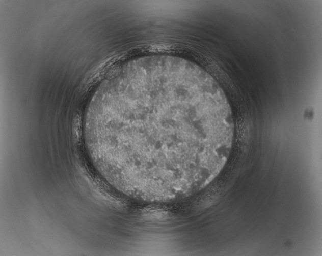 X0000115480648200912181210