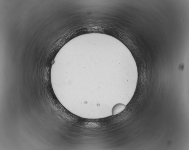 X0000115480649200912181210