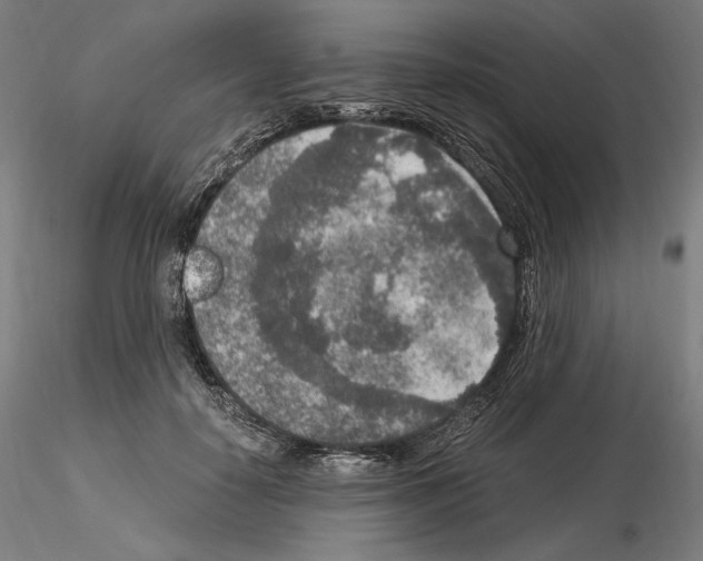 X0000115480650200912181210