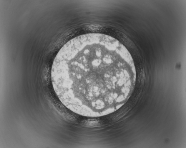 X0000115480651200912181210