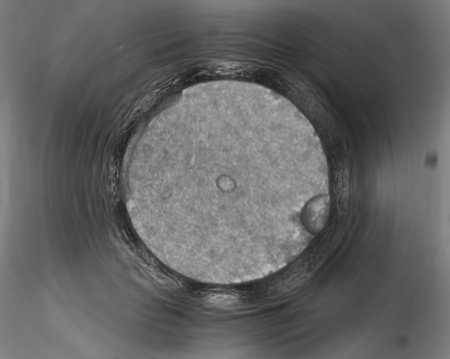 X0000115480653200912181210