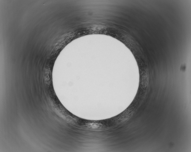 X0000115480654200912181210
